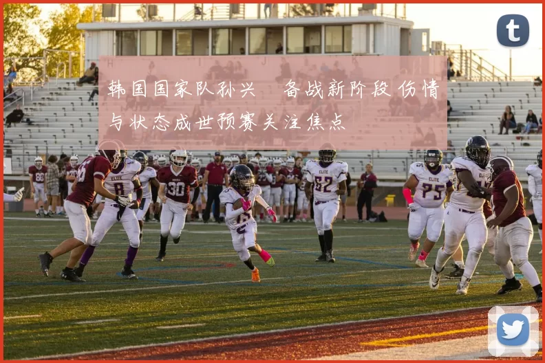韩国国家队孙兴慜备战新阶段 伤情与状态成世预赛关注焦点