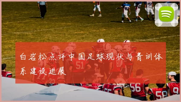 白岩松点评中国足球现状与青训体系建设进展