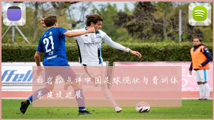 白岩松点评中国足球现状与青训体系建设进展