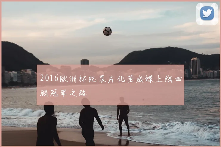 2016欧洲杯纪录片化茧成蝶上线回顾冠军之路