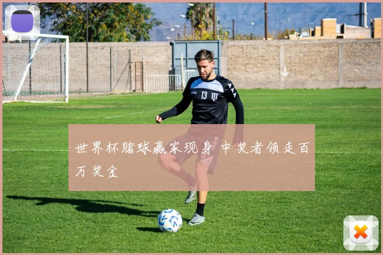 世界杯赌球赢家现身 中奖者领走百万奖金